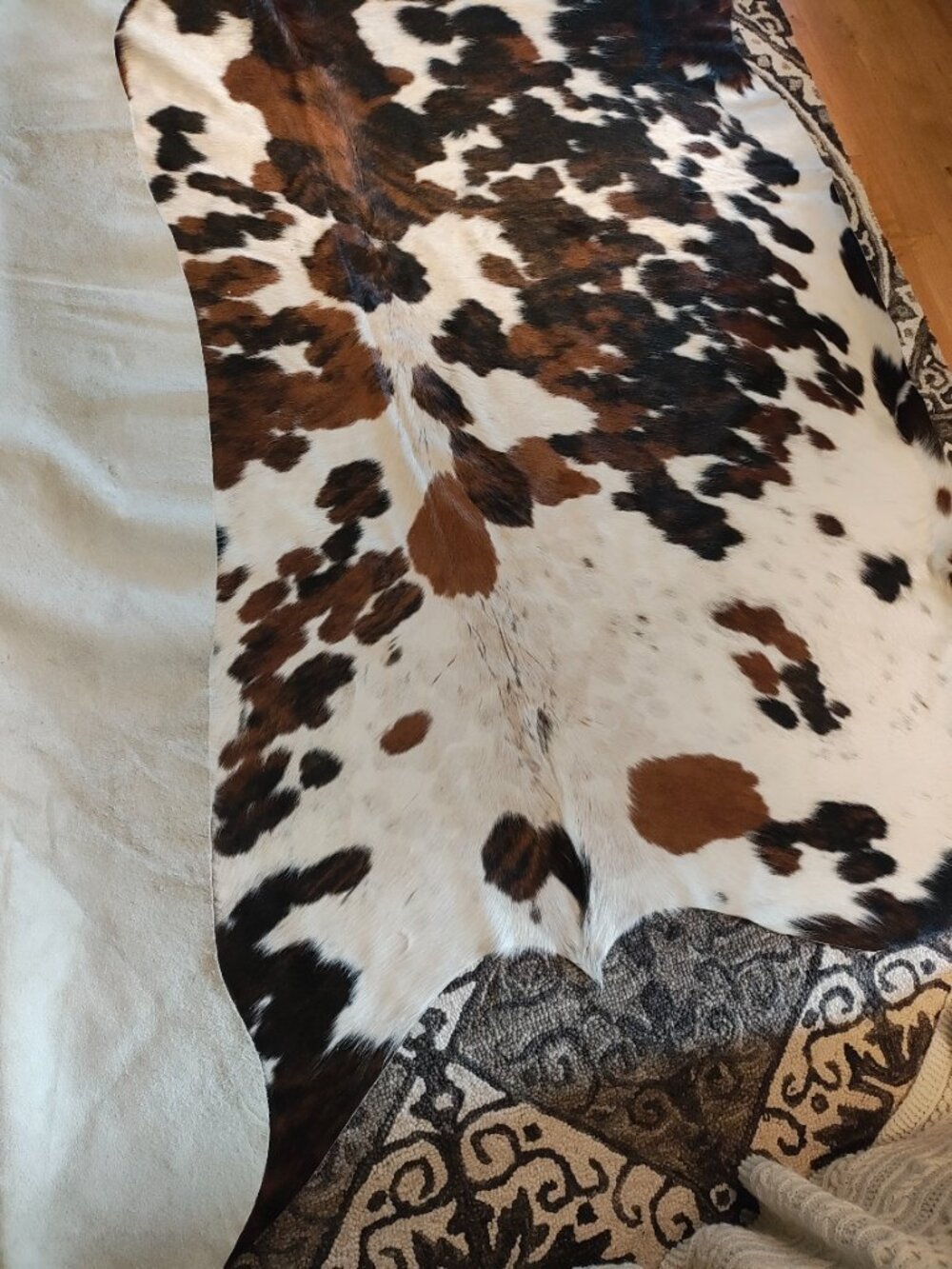 Cow Hide - Picture 5 of 5